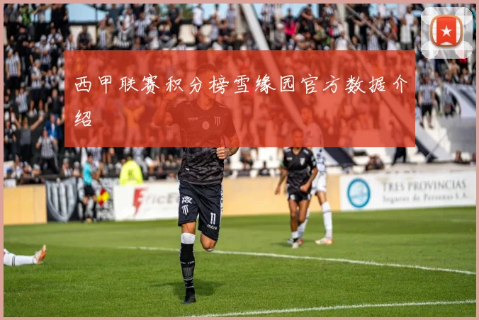 西甲联赛积分榜雪缘园官方数据介绍