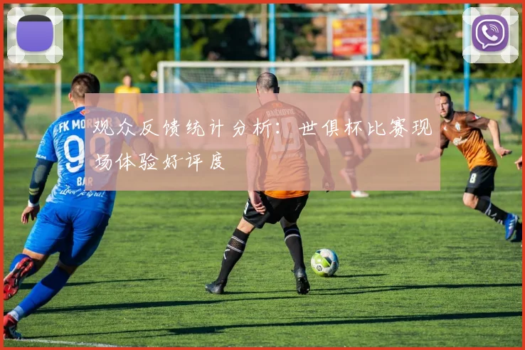 观众反馈统计分析：世俱杯比赛现场体验好评度