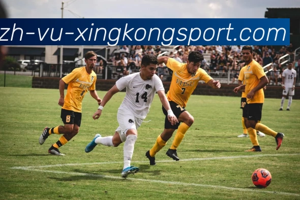 星空体育平台生态图