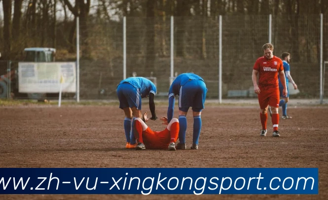 星空体育APP 封面图